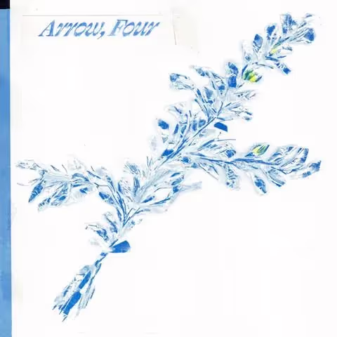 Bobbi Lu, 'Arrow, Four', cover art