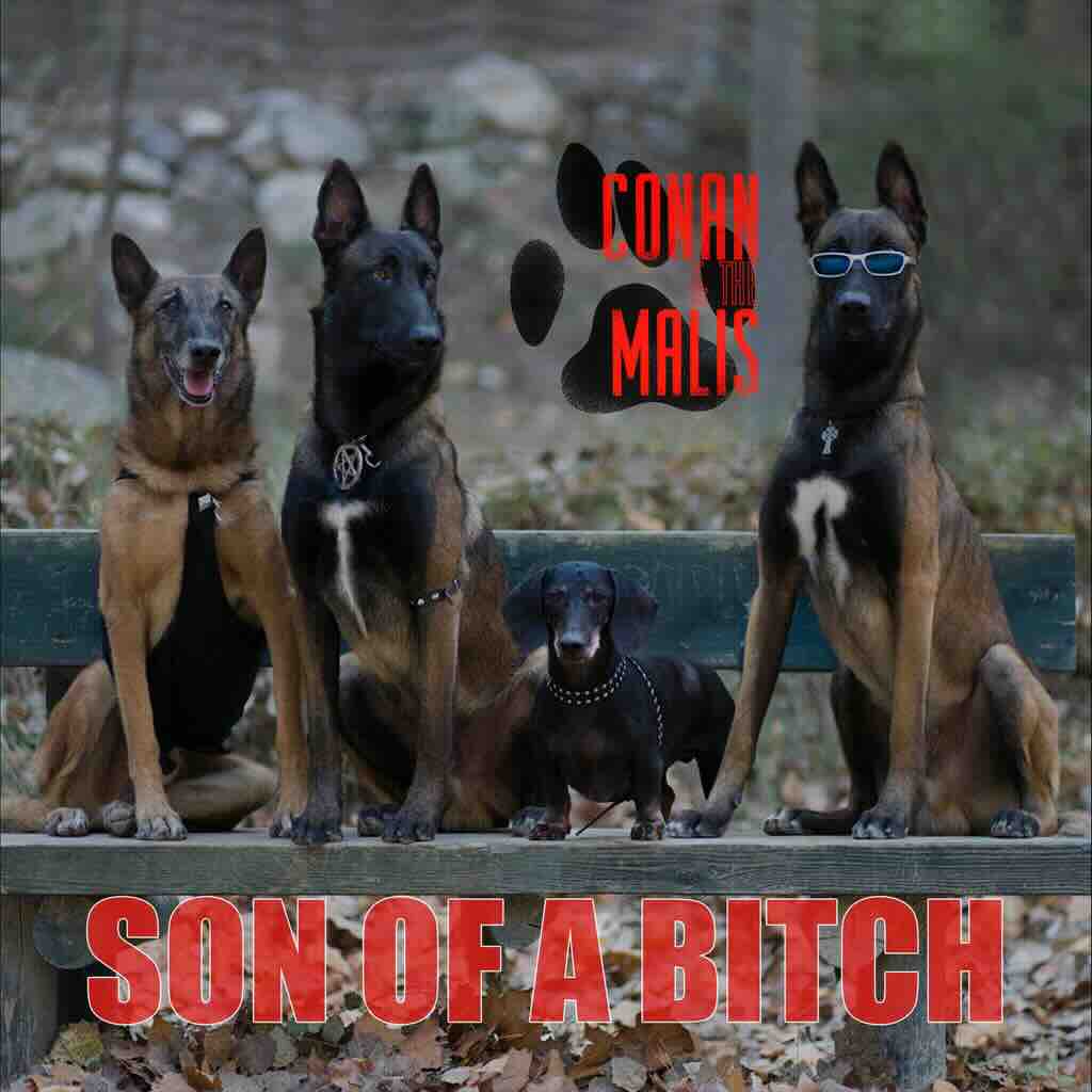 Conan % the Malis, 'Going for a Walk', single cover art