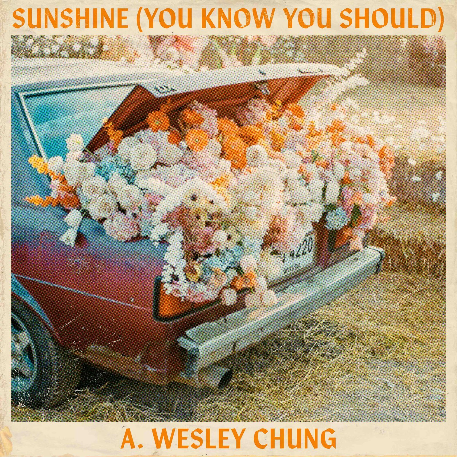 A. Wesley Chung, "Sunshine (You know you should)", single cover art