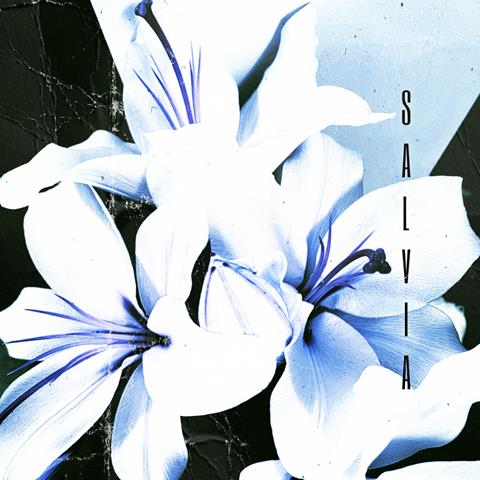 SALVIA, 'Adrenaline' arte de portada del sencillo