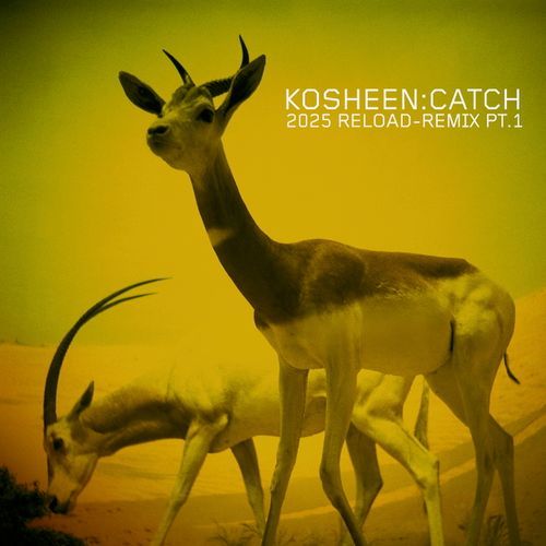Kosheen, Catch Remix Pt.1, cover art