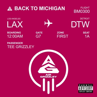 Tee Grizzley, 'Back to Michigan' singli kaanekunst