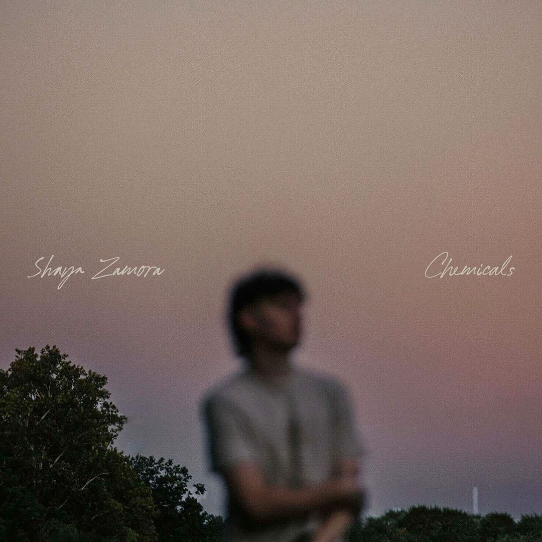 Shaya Zamora, "Chemicals", single cover art