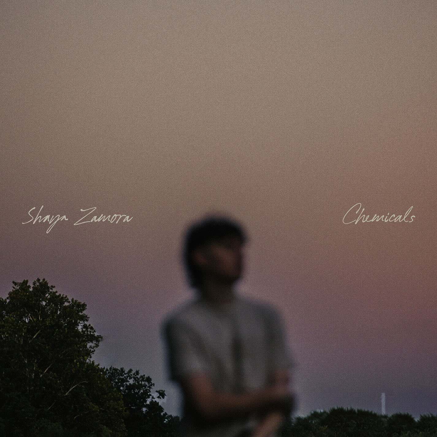 Shaya Zamora, "Chemicals", single cover art