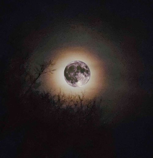 Chris Williams, Kid Reverie, "Strawberry Moon", single cover art