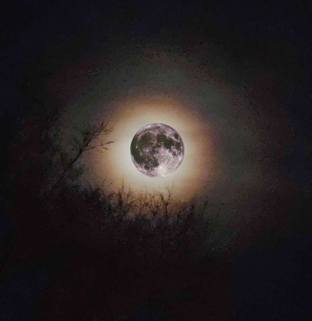 Chris Williams, Kid Reverie, "Strawberry Moon", single cover art